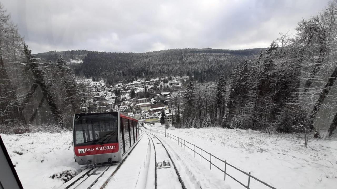 Apartment Wildbad Бад Вилдбад Екстериор снимка